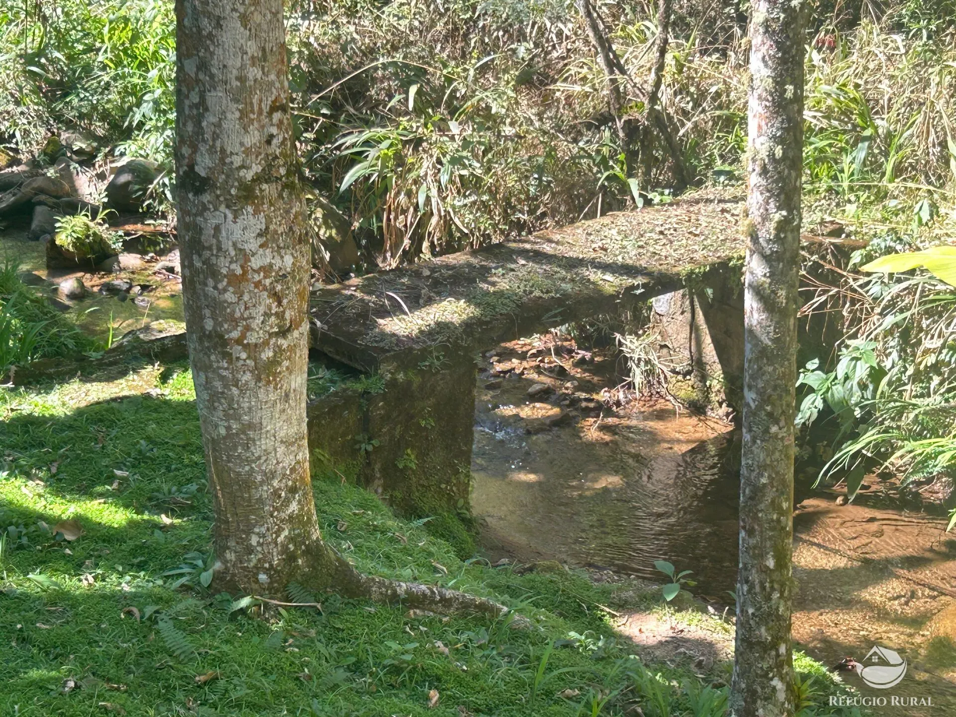 Small farm for sale of 6 acres in São José dos Campos, SP, Brazil
