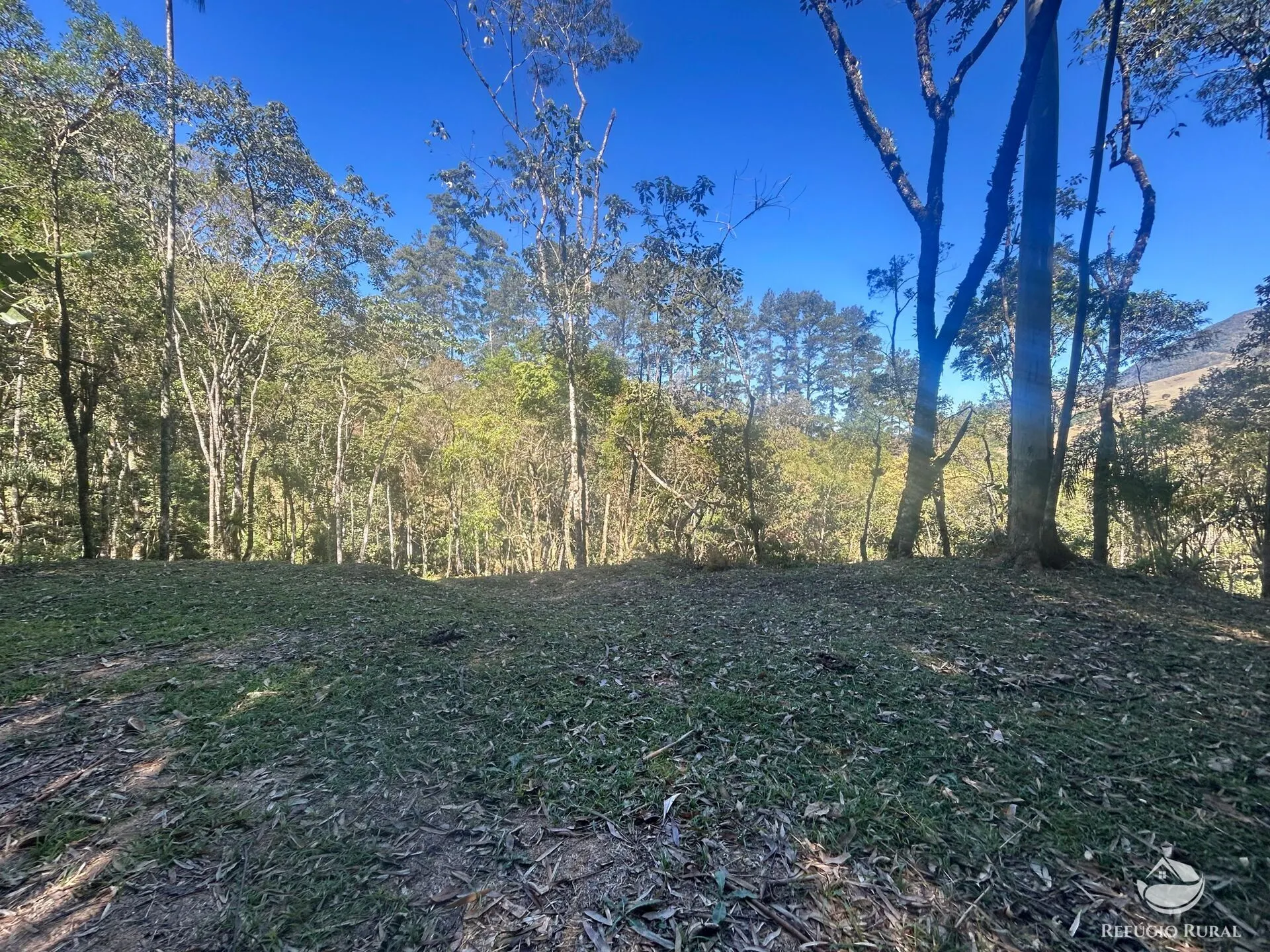 Small farm for sale of 6 acres in São José dos Campos, SP, Brazil