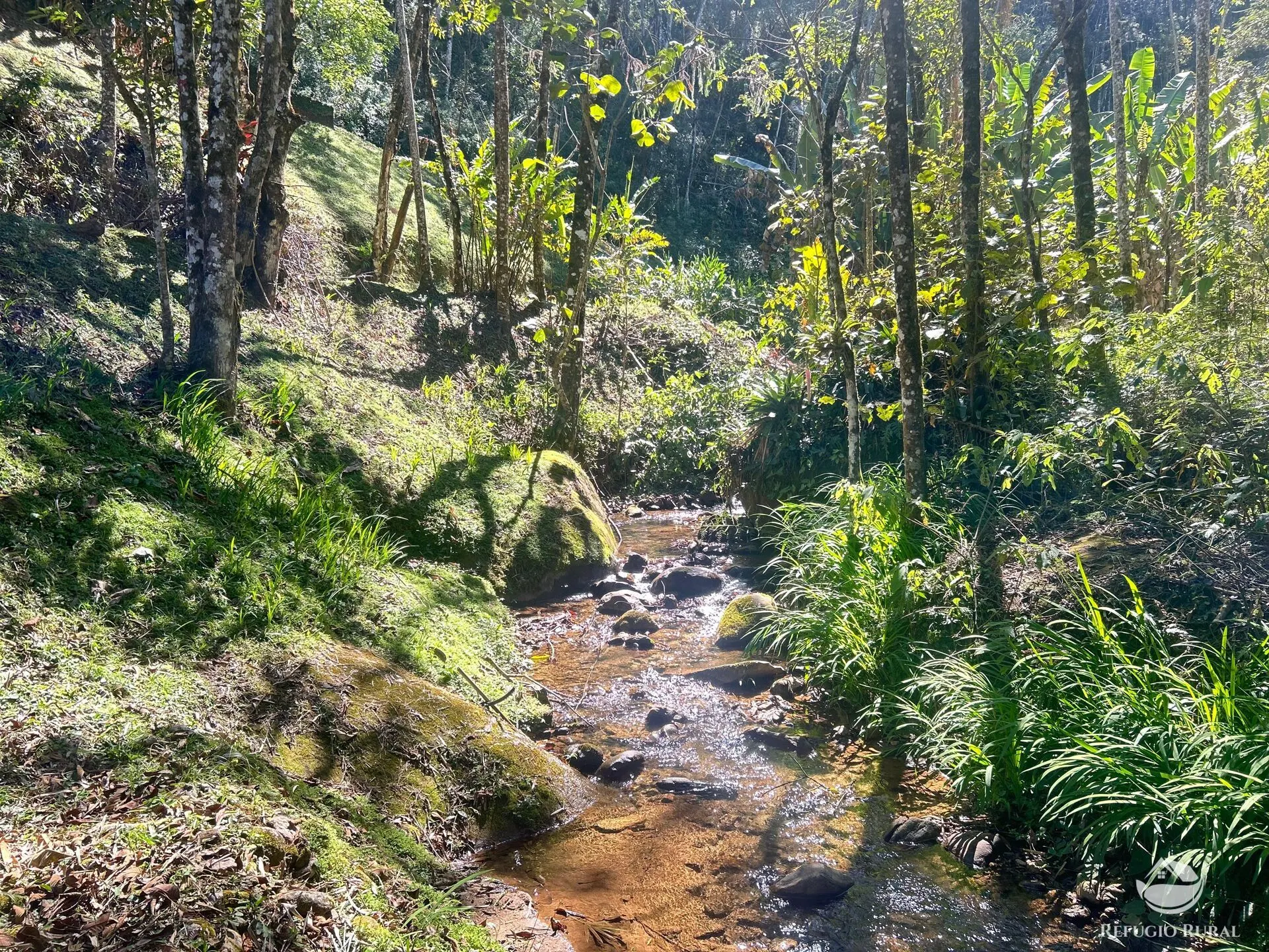 Small farm for sale of 6 acres in São José dos Campos, SP, Brazil