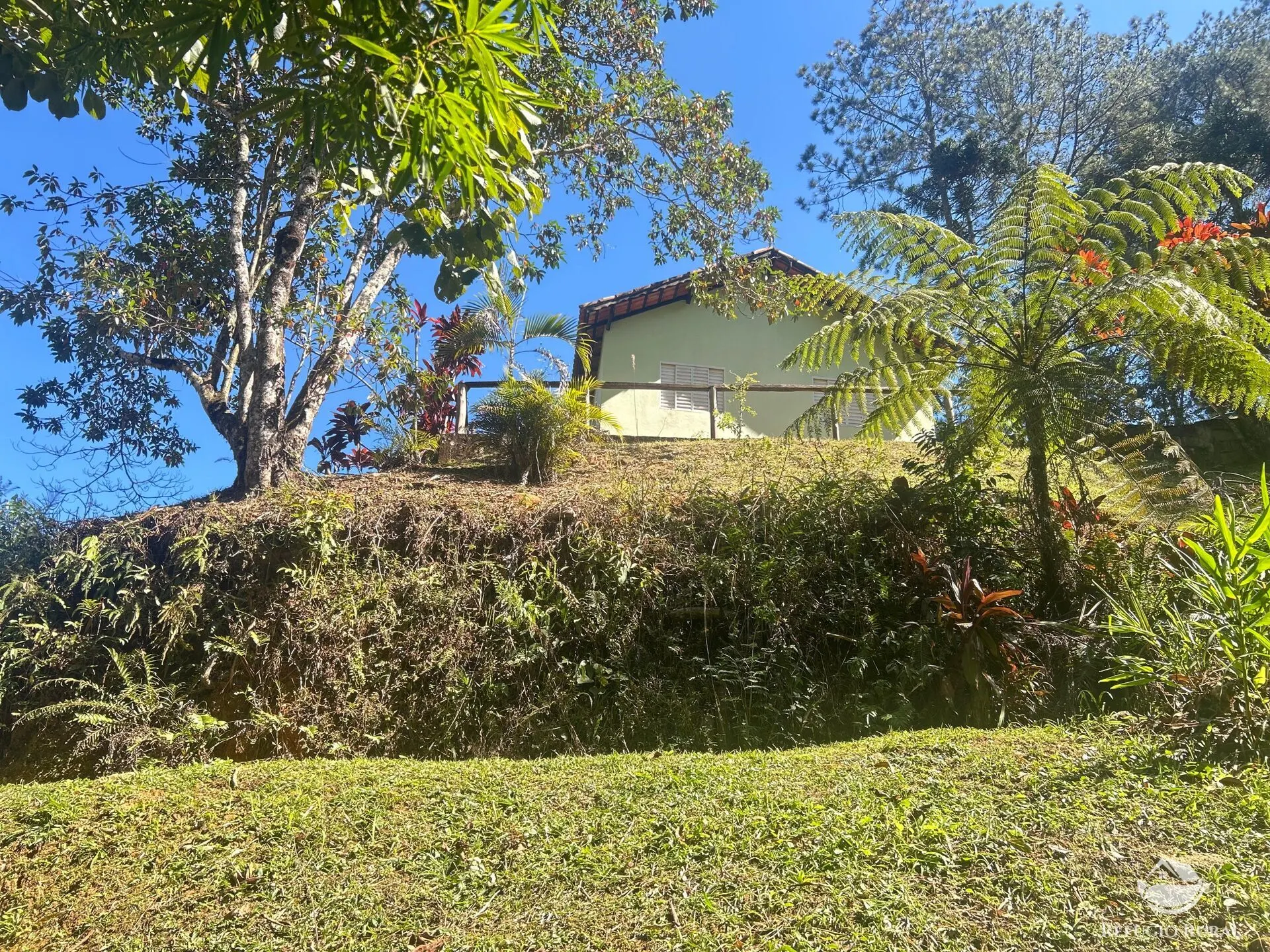 Small farm for sale of 6 acres in São José dos Campos, SP, Brazil