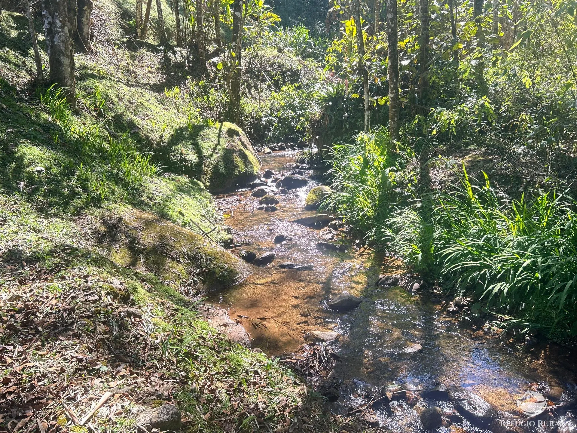 Small farm for sale of 6 acres in São José dos Campos, SP, Brazil