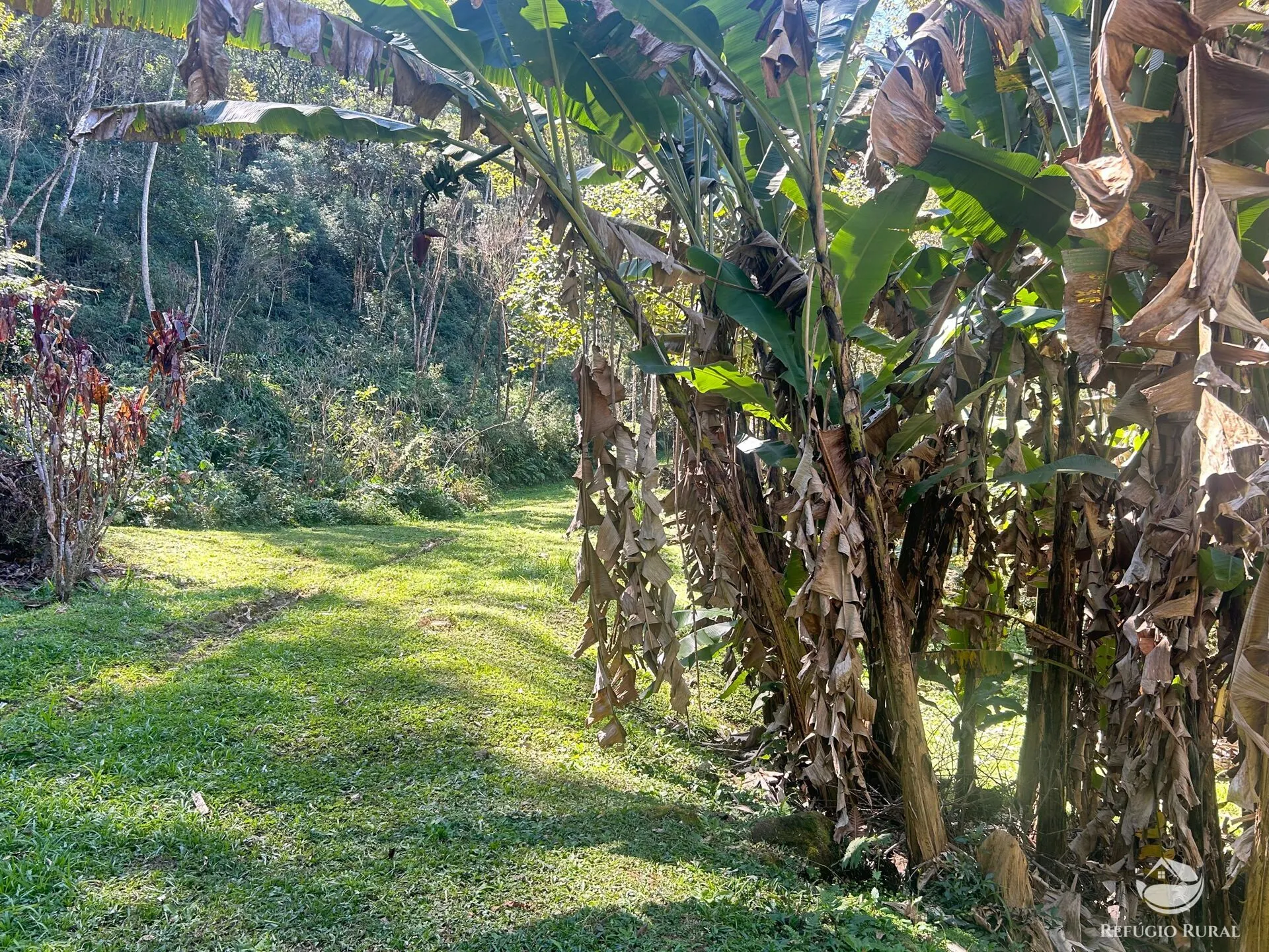 Small farm for sale of 6 acres in São José dos Campos, SP, Brazil
