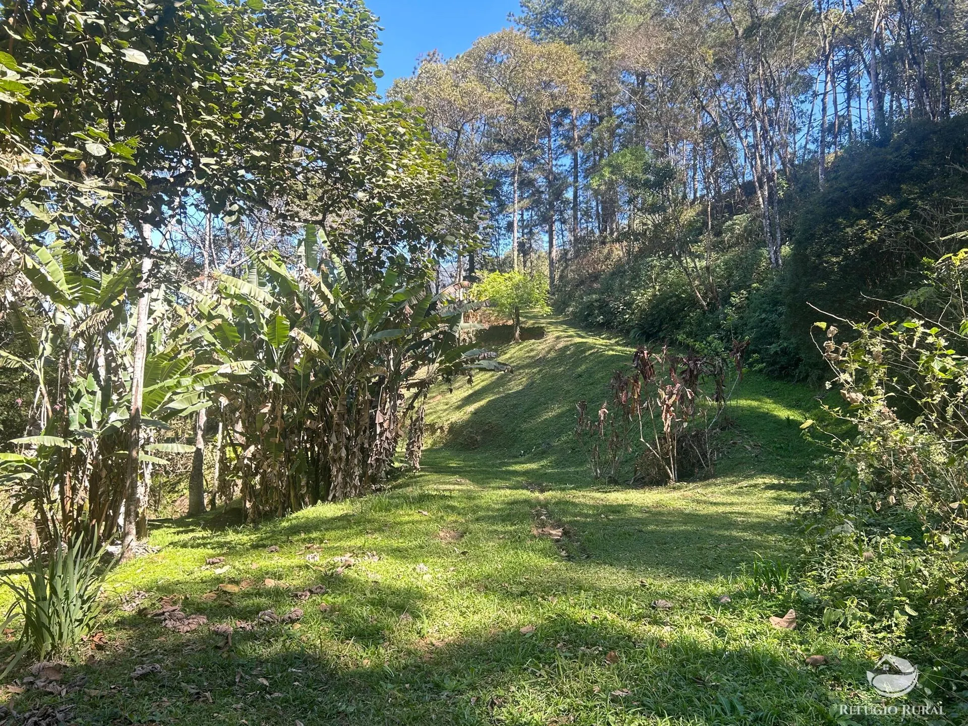 Small farm for sale of 6 acres in São José dos Campos, SP, Brazil