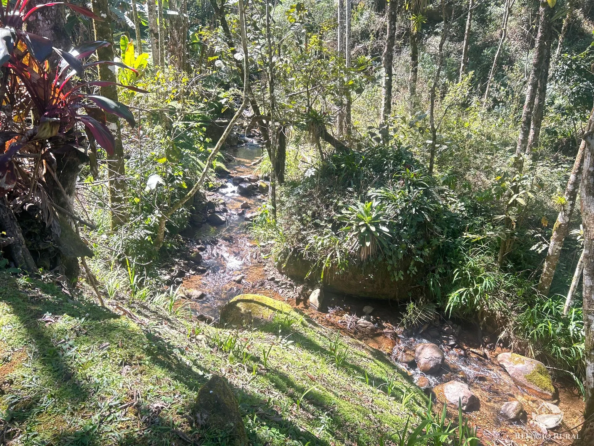 Small farm for sale of 6 acres in São José dos Campos, SP, Brazil