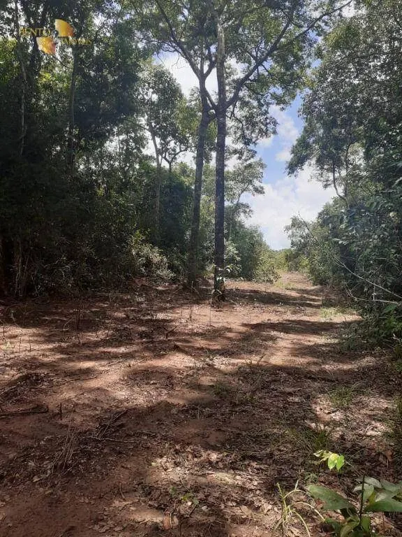 Farm for sale of 6,595 acres in Paranatinga, MT, Brazil