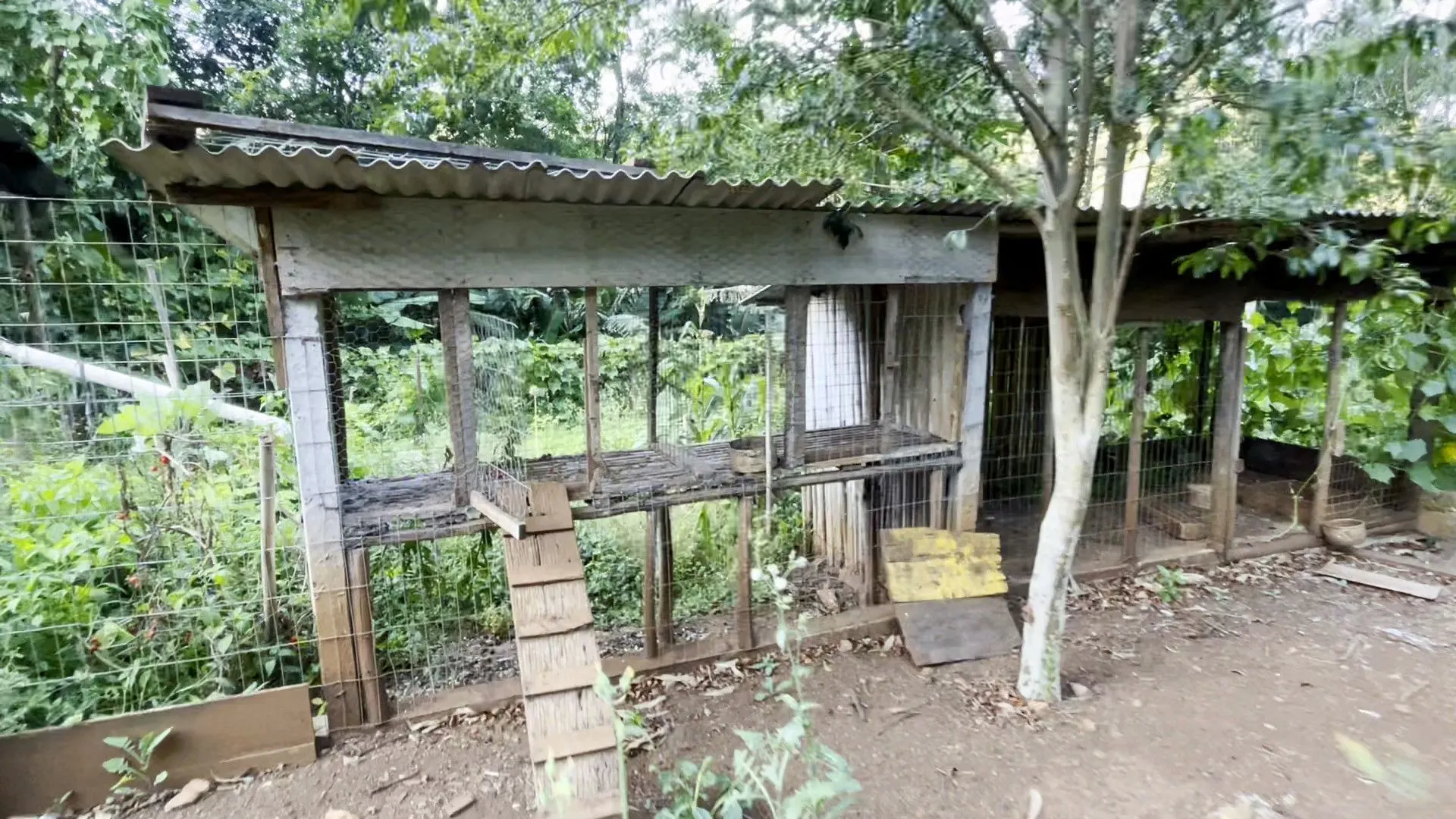 Terreno à venda de 3 ha em São Francisco de Paula, RS, Brasil