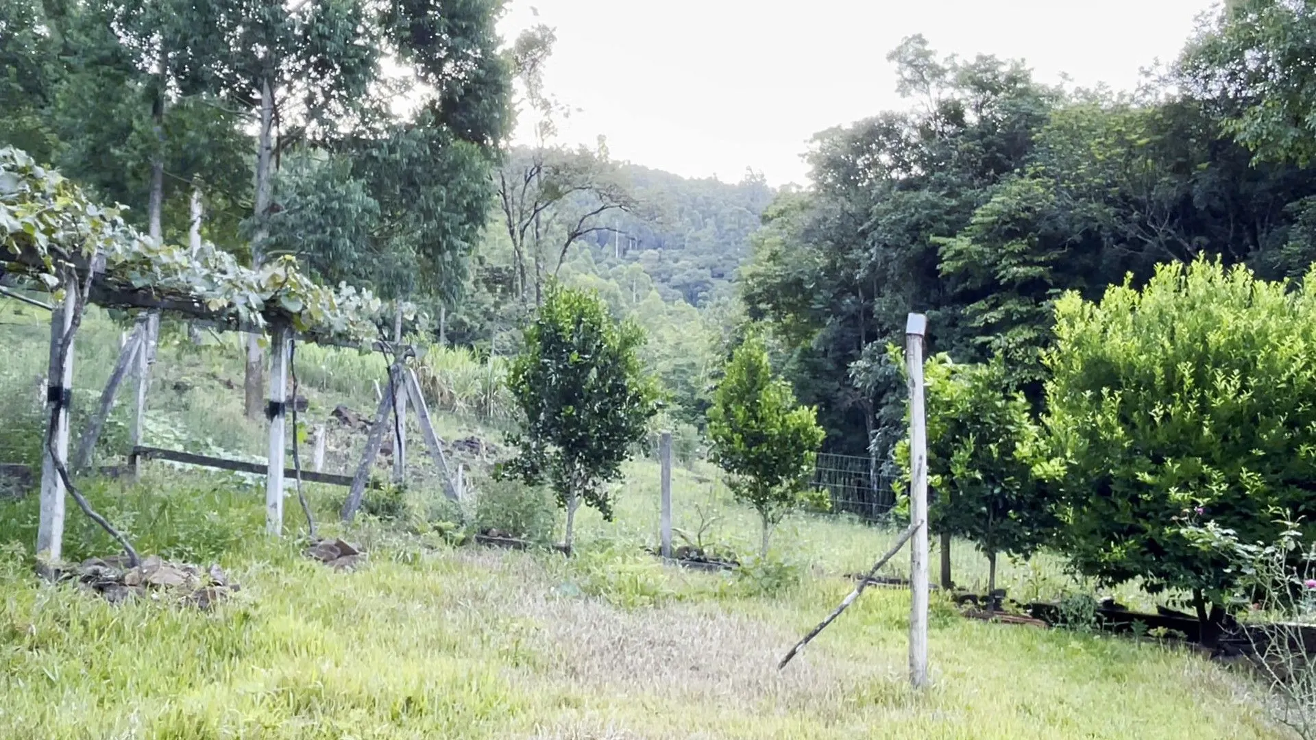 Terreno à venda de 3 ha em São Francisco de Paula, RS, Brasil