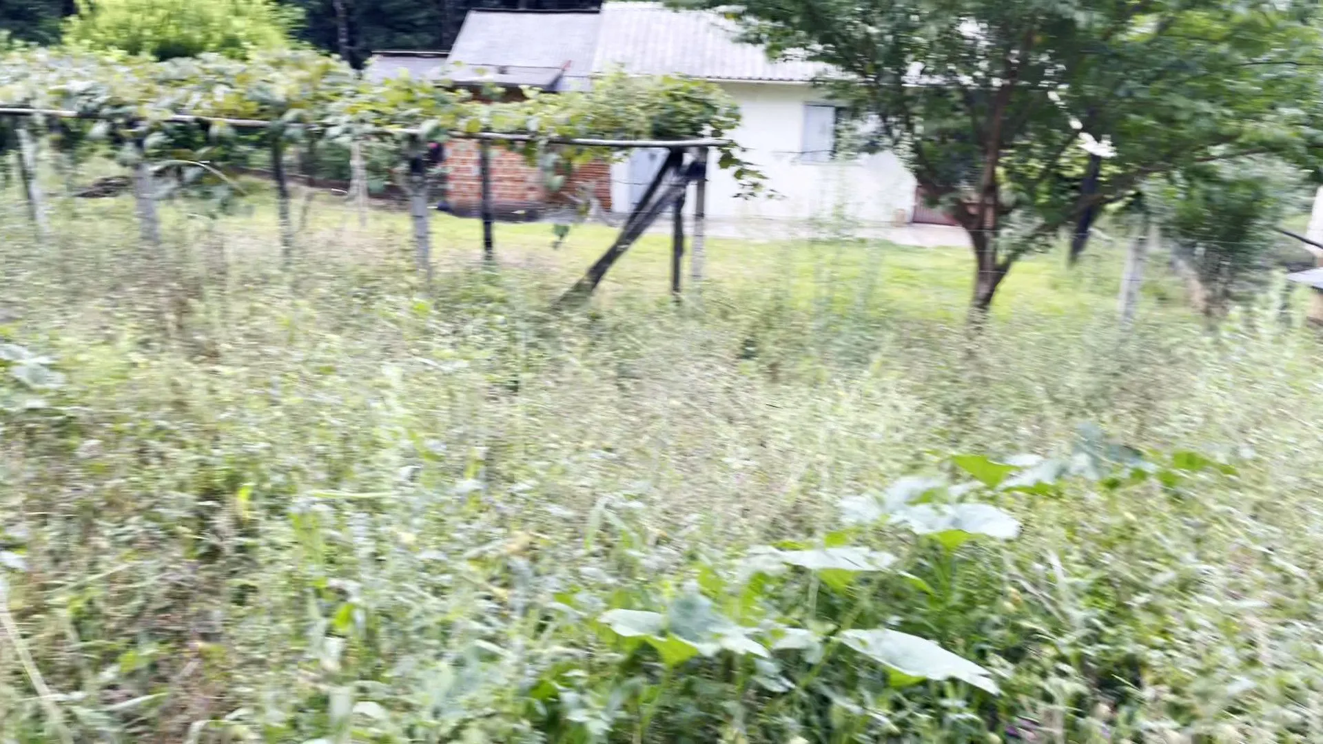 Terreno à venda de 3 ha em São Francisco de Paula, RS, Brasil