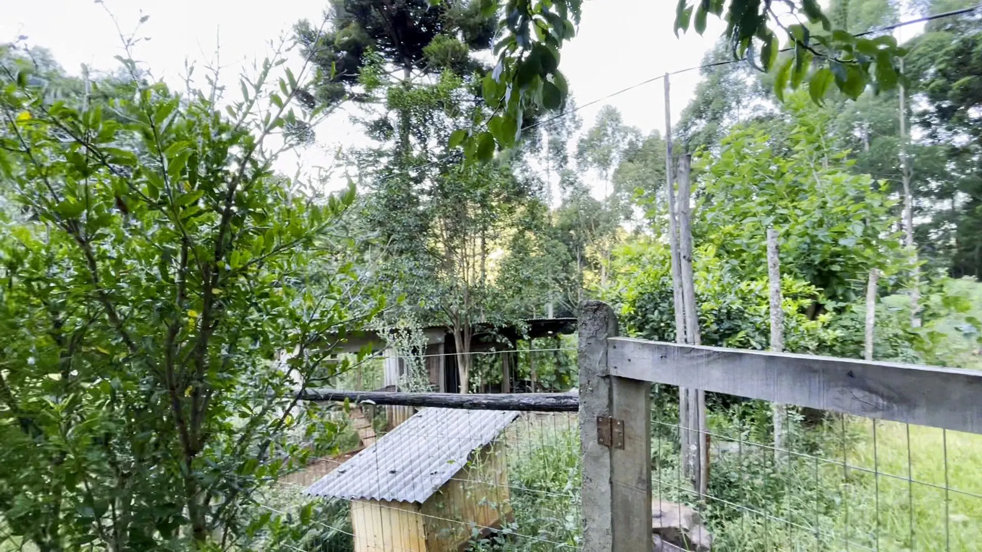 Terreno à venda de 3 ha em São Francisco de Paula, RS, Brasil