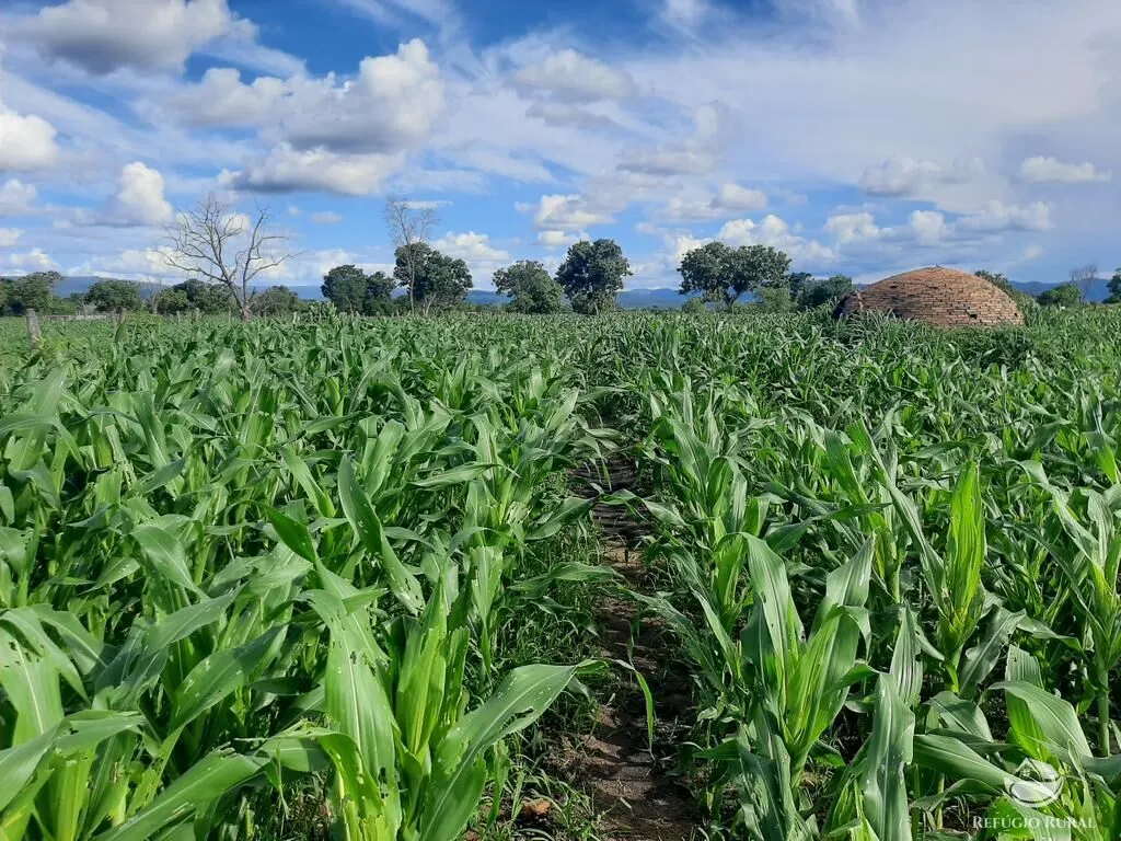 Farm for sale of 23,969 acres in Arraias, TO, Brazil