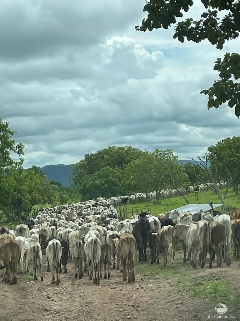 Fazenda à venda de 9.700 ha em Arraias, TO, Brasil