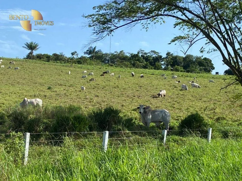 Fazenda à venda de 900 ha em Rorainópolis, RR, Brasil