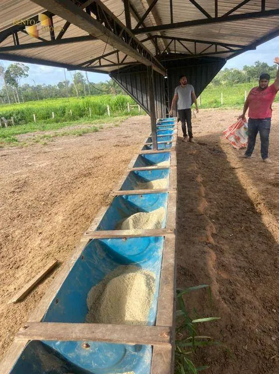Fazenda à venda de 900 ha em Rorainópolis, RR, Brasil