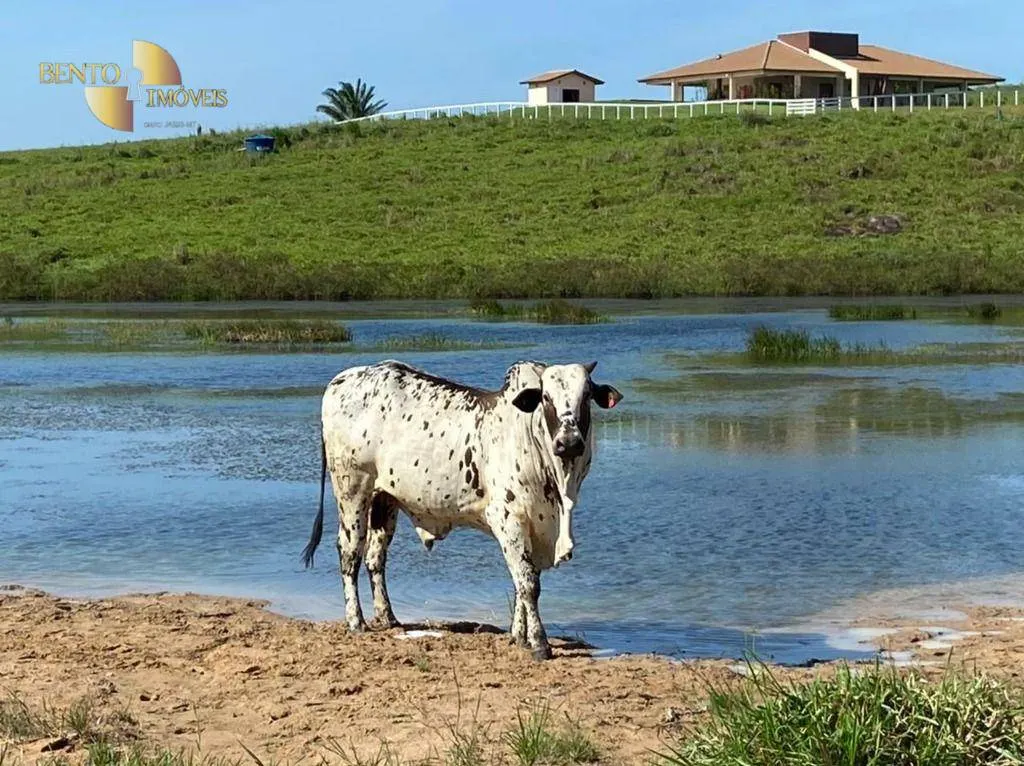 Fazenda à venda de 900 ha em Rorainópolis, RR, Brasil