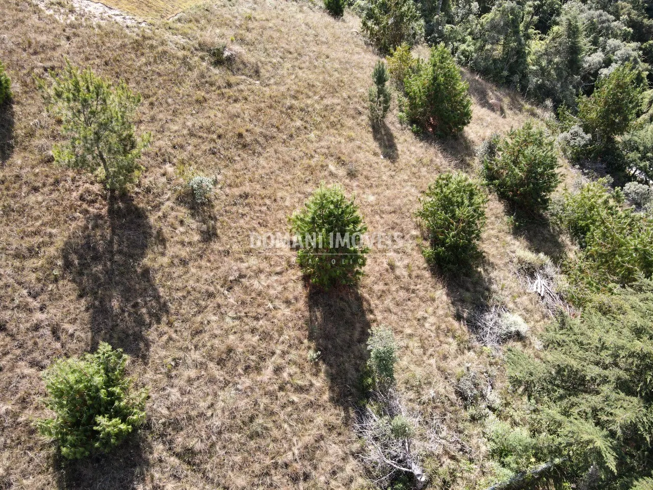 Terreno à venda de 2.210 m² em Campos do Jordão, SP, Brasil