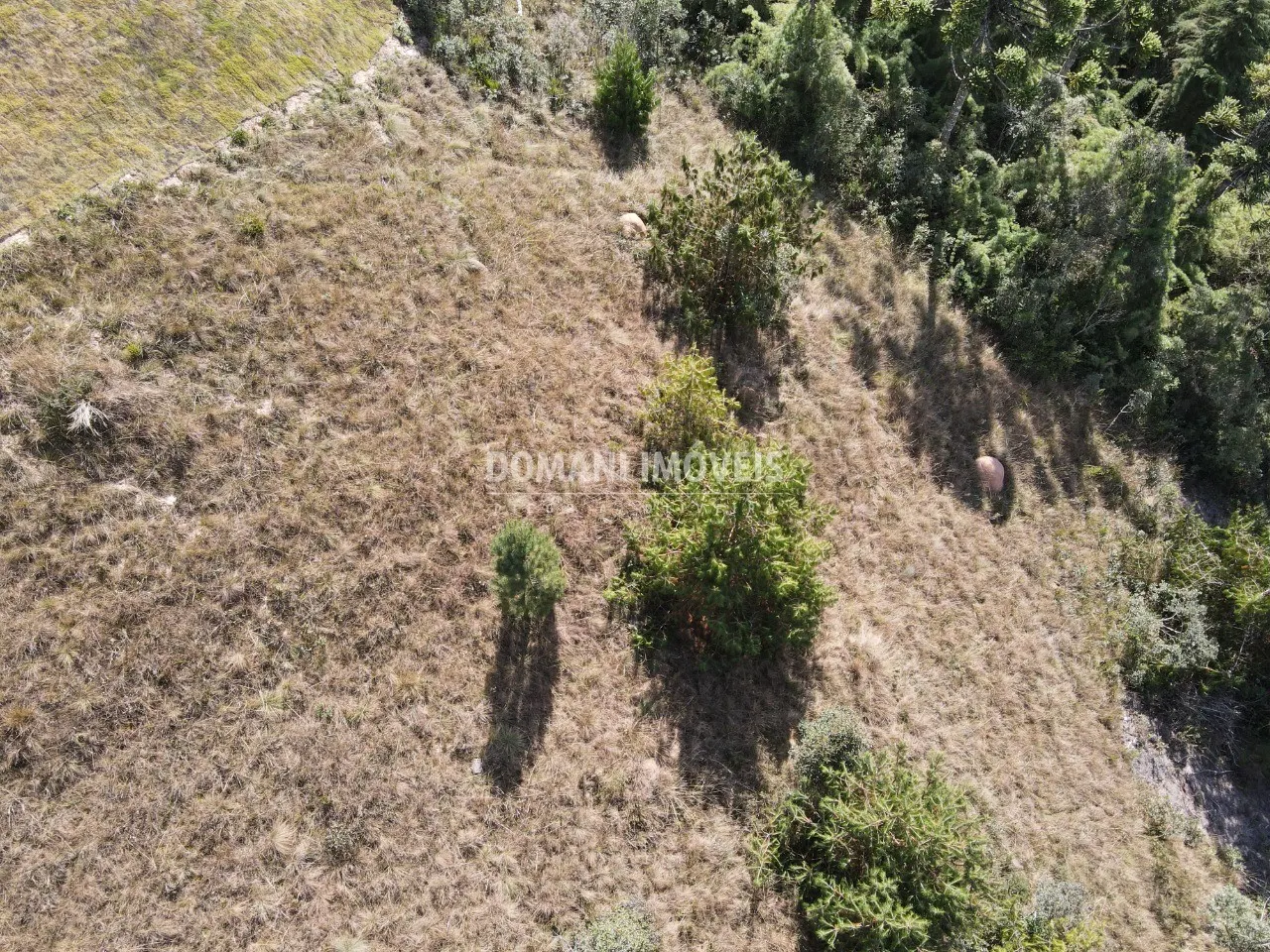 Terreno à venda de 2.210 m² em Campos do Jordão, SP, Brasil