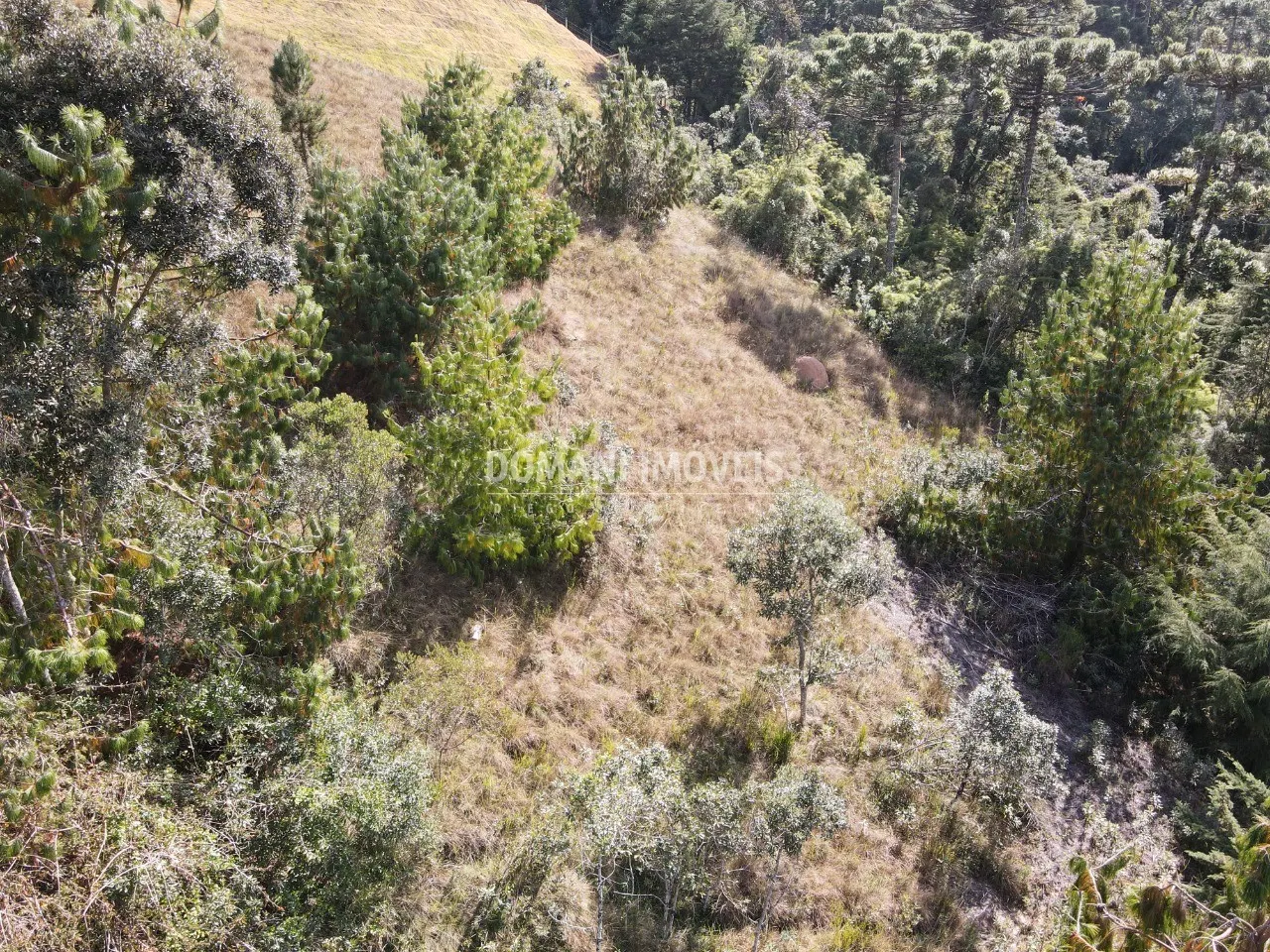 Terreno à venda de 2.210 m² em Campos do Jordão, SP, Brasil