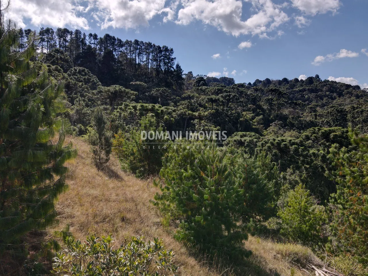 Terreno à venda de 2.210 m² em Campos do Jordão, SP, Brasil