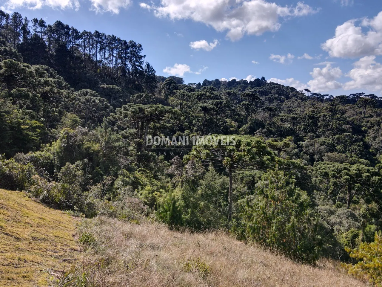 Terreno à venda de 2.210 m² em Campos do Jordão, SP, Brasil
