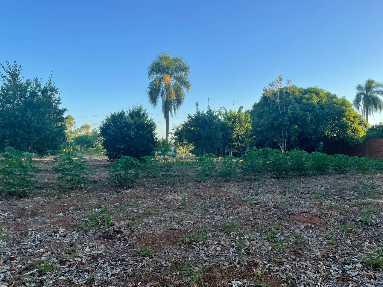 Fazenda à venda de 2 ha em São Miguel Arcanjo, SP, Brasil
