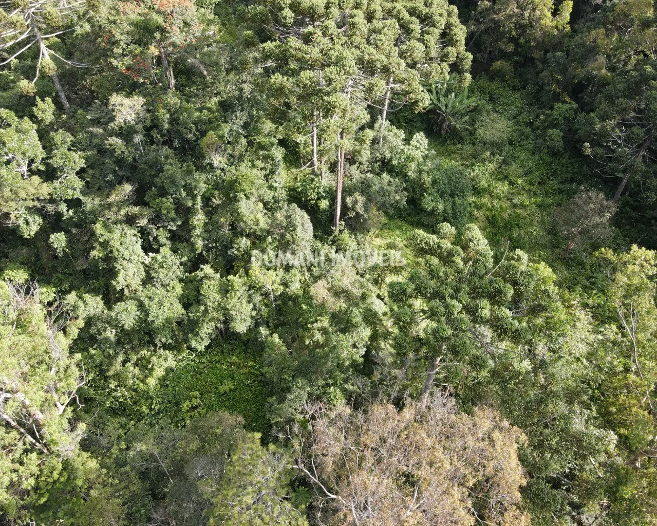 Terreno à venda de 13 ha em Campos do Jordão, SP, Brasil