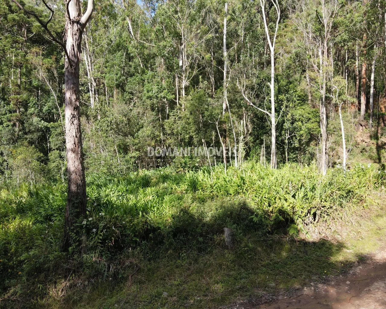 Terreno à venda de 13 ha em Campos do Jordão, SP, Brasil