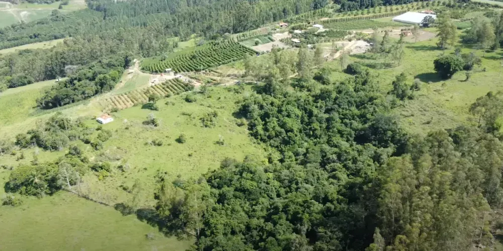 Chácara à venda de 3 ha em Tomazina, PR, Brasil