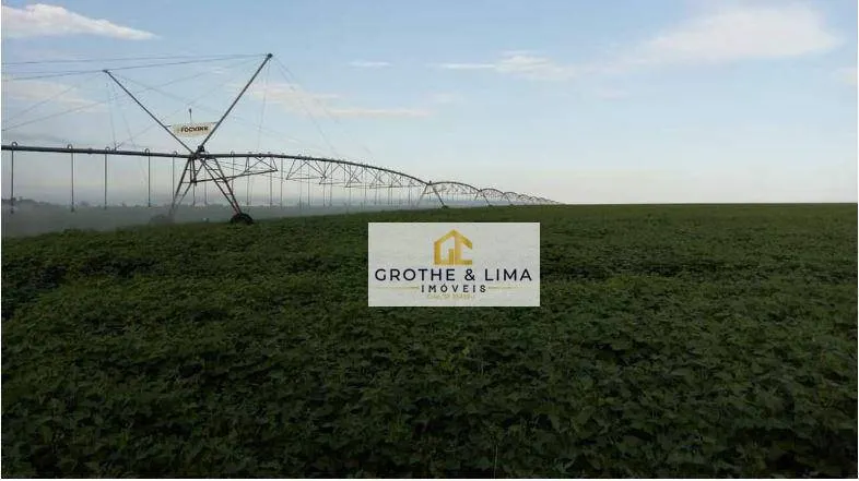 Fazenda à venda de 637 ha em Sorriso, MT, Brasil