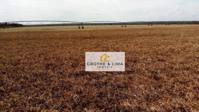 Fazenda à venda de 637 ha em Sorriso, MT, Brasil
