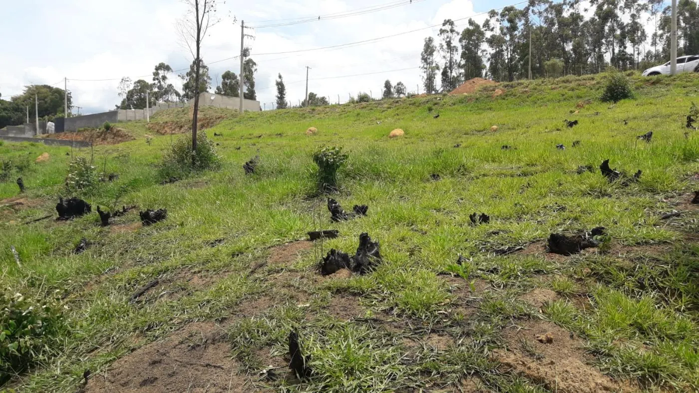 Plot for sale of 1,000 m² in Alumínio, SP, Brazil