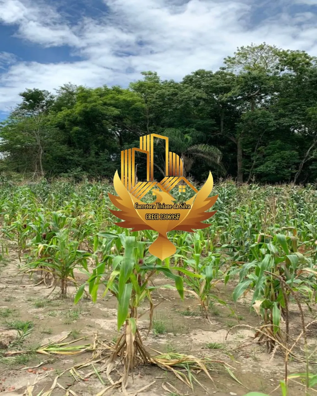 Chácara à venda de 1.240 m² em São José dos Campos, SP, Brasil
