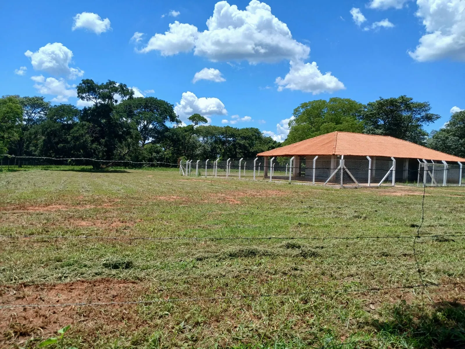 Chácara à venda de 2.000 ha em Votuporanga, SP, Brasil