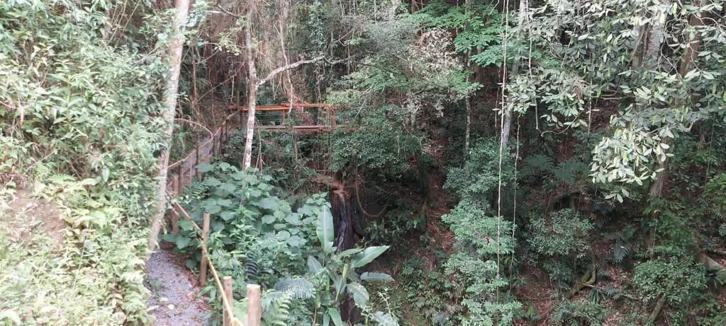 Small farm for sale of 66 acres in Guararema, SP, Brazil