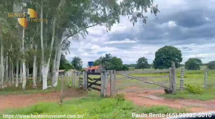 Fazenda à venda de 301 ha em Porto Esperidião, MT, Brasil