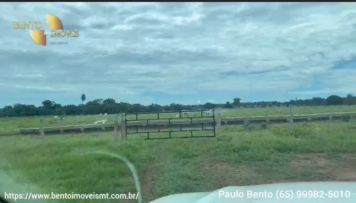 Fazenda à venda de 301 ha em Porto Esperidião, MT, Brasil