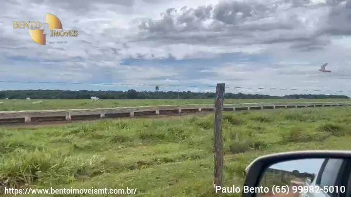 Fazenda à venda de 301 ha em Porto Esperidião, MT, Brasil
