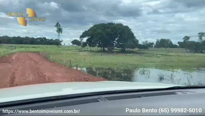 Fazenda à venda de 301 ha em Porto Esperidião, MT, Brasil