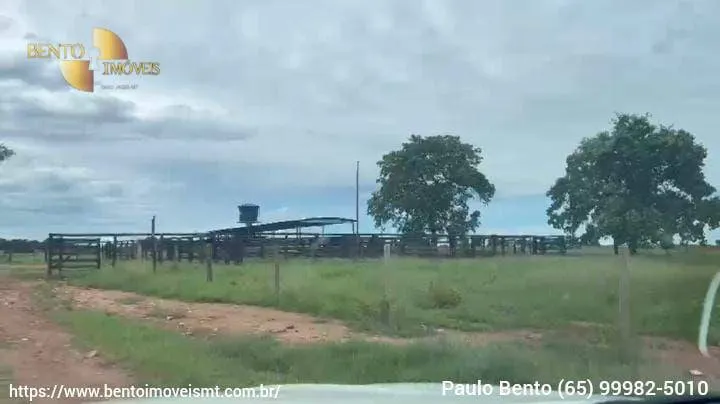 Fazenda à venda de 301 ha em Porto Esperidião, MT, Brasil