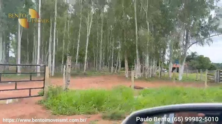 Fazenda à venda de 301 ha em Porto Esperidião, MT, Brasil