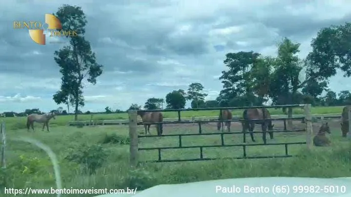 Fazenda à venda de 301 ha em Porto Esperidião, MT, Brasil
