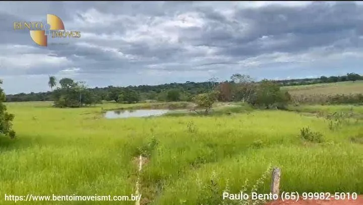 Fazenda à venda de 301 ha em Porto Esperidião, MT, Brasil