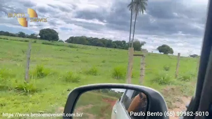 Fazenda à venda de 301 ha em Porto Esperidião, MT, Brasil