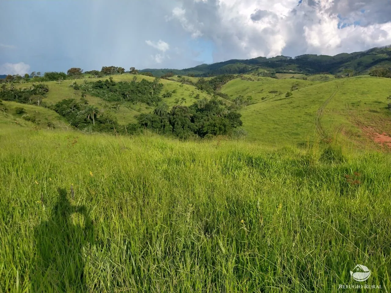 Fazenda à venda de 324 ha em Caçapava, SP, Brasil