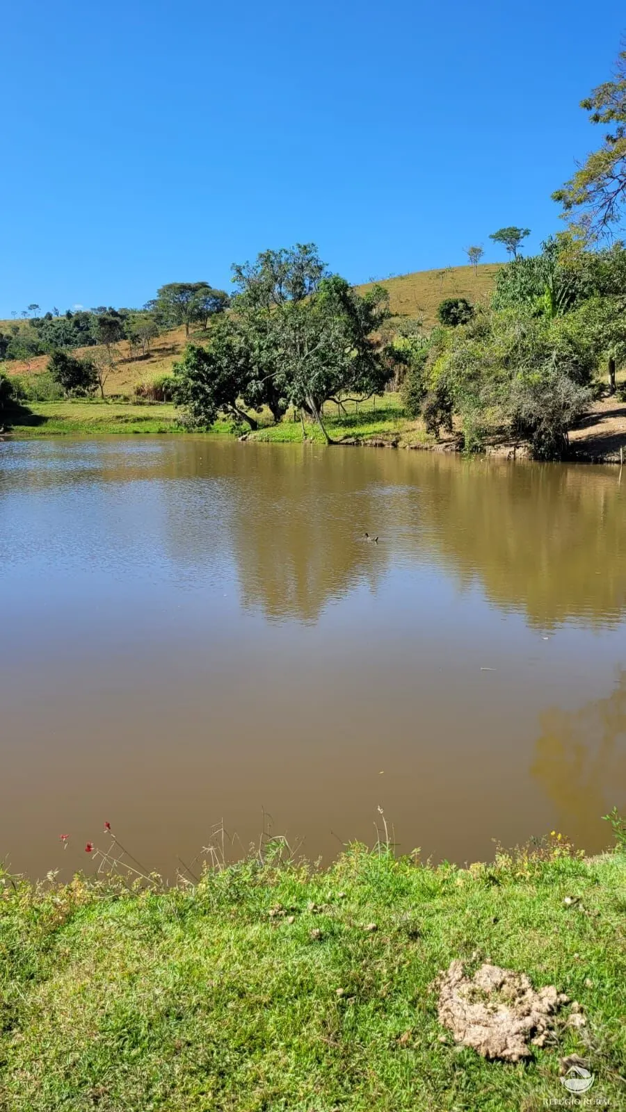 Fazenda à venda de 324 ha em Caçapava, SP, Brasil