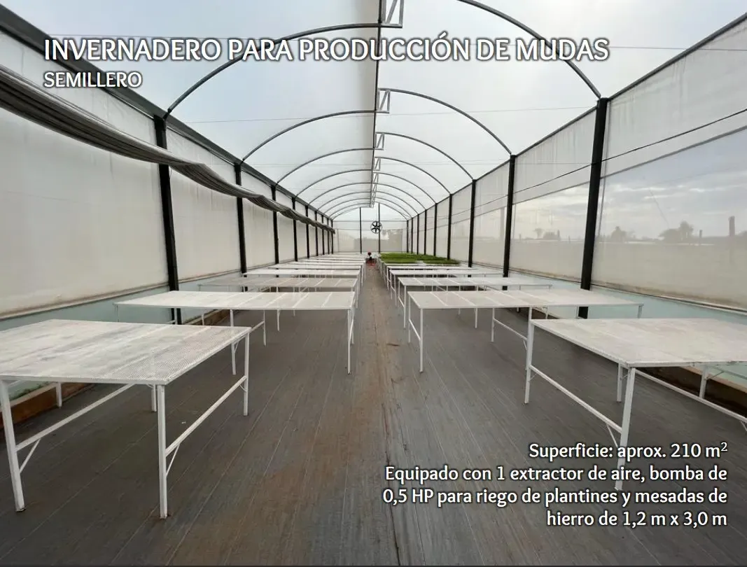 Comercial à venda de 53 ha em Itacurubí de la Cordillera, Paraguai