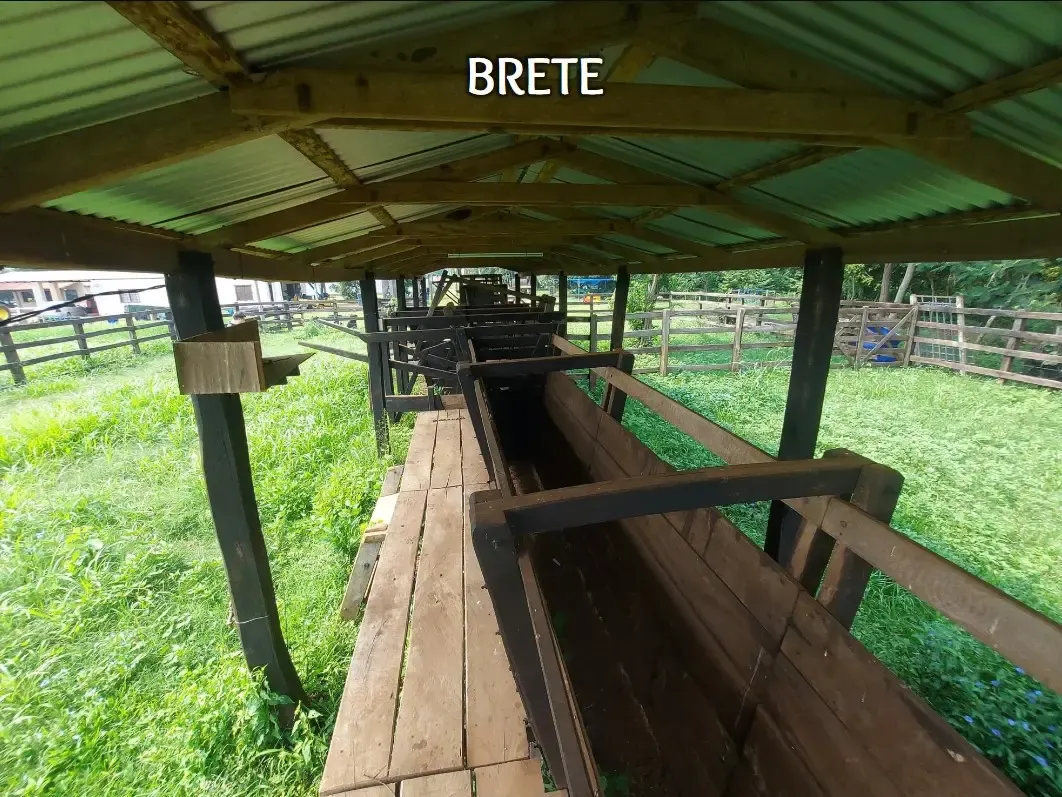 Comercial à venda de 53 ha em Itacurubí de la Cordillera, Paraguai