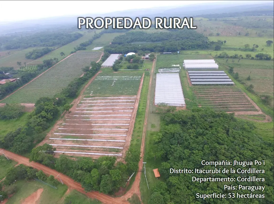Comercial à venda de 53 ha em Itacurubí de la Cordillera, Paraguai