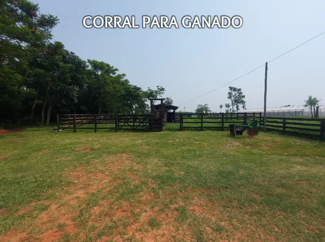 Comercial à venda de 53 ha em Itacurubí de la Cordillera, Paraguai