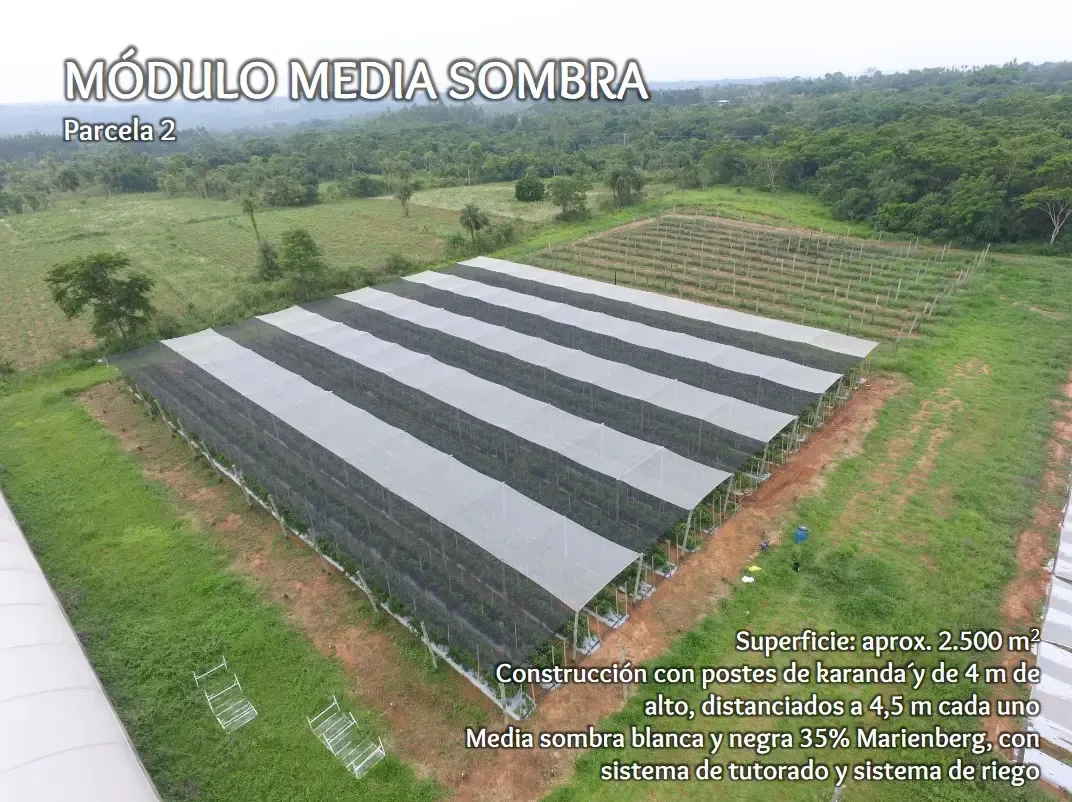 Comercial à venda de 53 ha em Itacurubí de la Cordillera, Paraguai