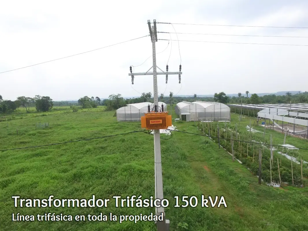 Comercial à venda de 53 ha em Itacurubí de la Cordillera, Paraguai
